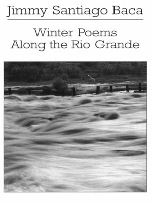 cover image of Winter Poems Along the Rio Grande